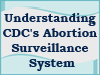 This podcast provides a summary of CDC's Abortion Surveillance System activities. 
It is the one of two podcasts on the topic.  Additional information on CDC's Abortion Surveillance System is available at www.cdc.gov/reproductivehealth.